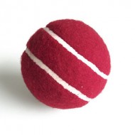 Beach Cricket Ball